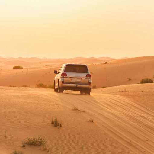 white suv on desert